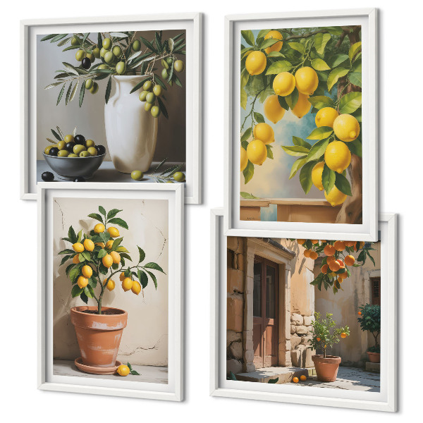 Composizione di 4 quadri Alberi di limoni in vaso