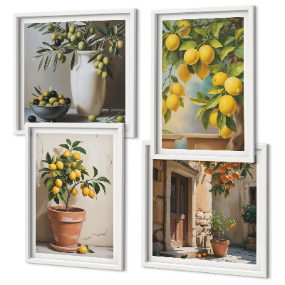 Composizione di 4 quadri Alberi di limoni in vaso