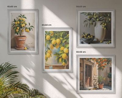 Composizione di 4 quadri Alberi di limoni in vaso