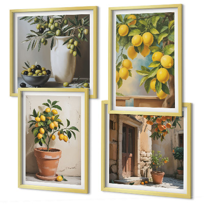 Composizione di 4 quadri Alberi di limoni in vaso