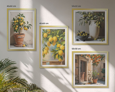 Composizione di 4 quadri Alberi di limoni in vaso