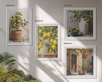 Composizione di 4 quadri Alberi di limoni in vaso