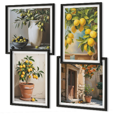 Composizione di 4 quadri Alberi di limoni in vaso