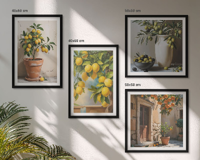 Composizione di 4 quadri Alberi di limoni in vaso