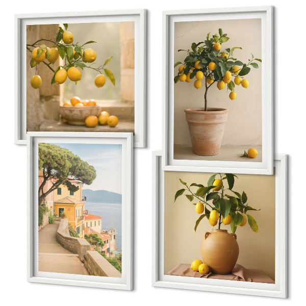 Galleria a parete Alberi di limoni in vaso