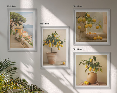Galleria a parete Alberi di limoni in vaso