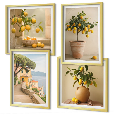 Galleria a parete Alberi di limoni in vaso