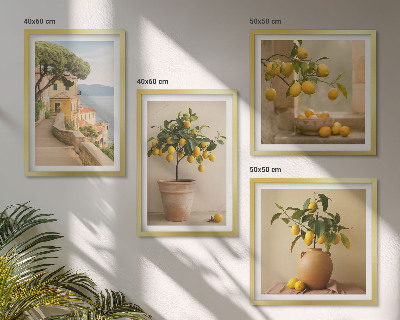 Galleria a parete Alberi di limoni in vaso