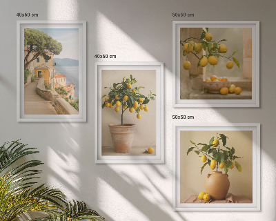 Galleria a parete Alberi di limoni in vaso