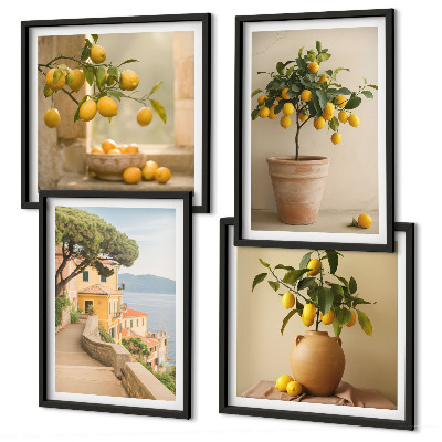 Galleria a parete Alberi di limoni in vaso