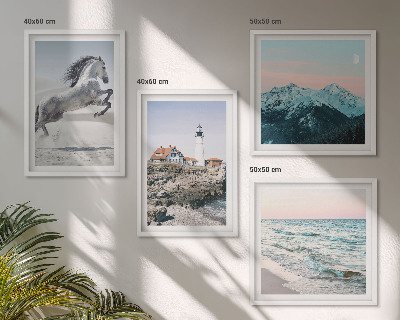 Composizione di 4 quadri Cavalli, movimento, spiaggia, faro, montagne