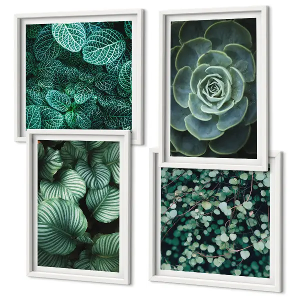 Foglie verdi succulente composizione di 4 quadri