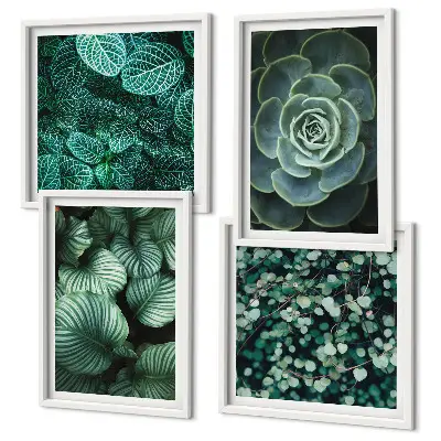 Foglie verdi succulente composizione di 4 quadri