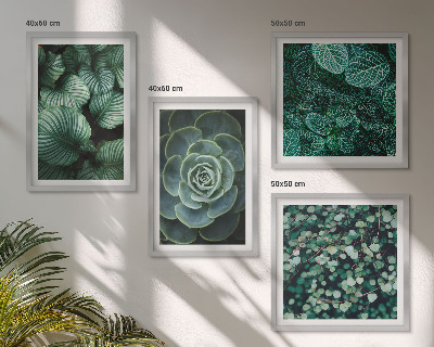 Composizione di 4 quadri Foglie verdi succulente