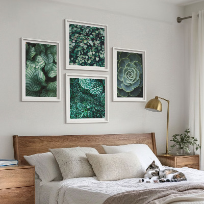 Composizione di 4 quadri Foglie verdi succulente