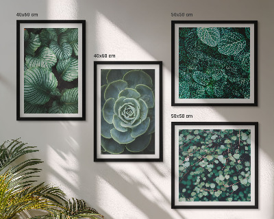 Composizione di 4 quadri Foglie verdi succulente
