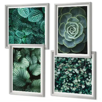 Foglie verdi succulente composizione di 4 quadri