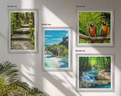 Composizione di 4 quadri c'è una cascata con un pappagallo della foresta tropicale