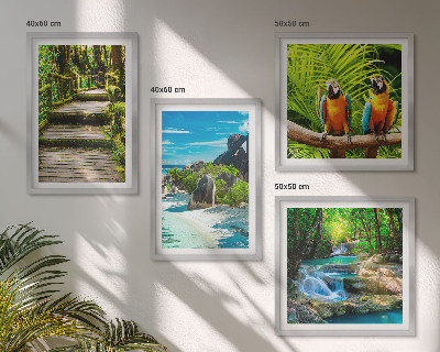 Composizione di 4 quadri cascata con pappagallo della foresta tropicale