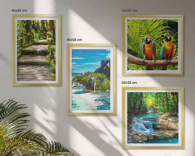 Composizione di 4 quadri cascata con pappagallo della foresta tropicale