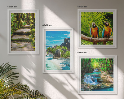 Composizione di 4 quadri cascata con pappagallo della foresta tropicale