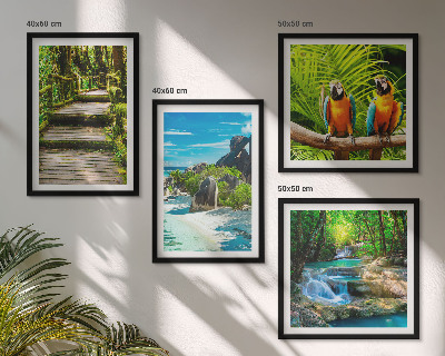 Composizione di 4 quadri cascata con pappagallo della foresta tropicale