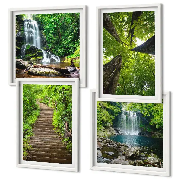 Galleria a parete con sentiero forestale, cascata e vegetazione