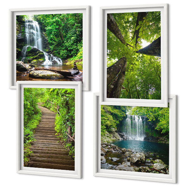 Galleria a parete Sentiero forestale cascata vegetazione