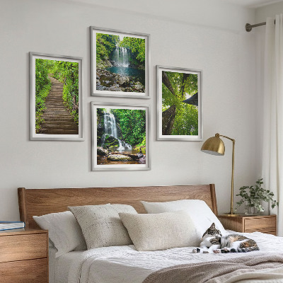 Galleria a parete Sentiero forestale cascata vegetazione