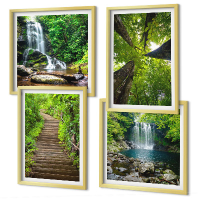 Galleria a parete Sentiero forestale cascata vegetazione