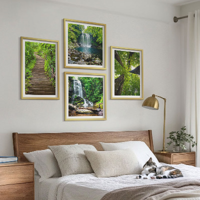 Galleria a parete Sentiero forestale cascata vegetazione