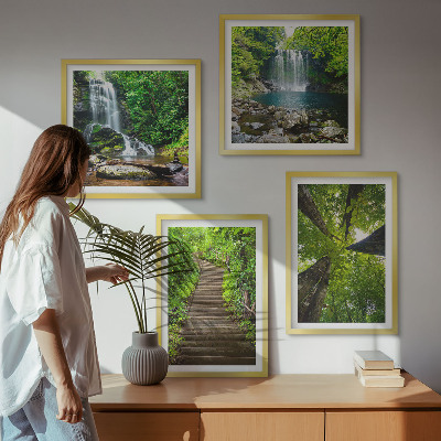 Galleria a parete Sentiero forestale cascata vegetazione