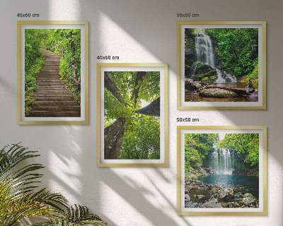 Galleria a parete Sentiero forestale cascata vegetazione