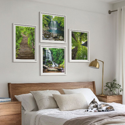 Galleria a parete Sentiero forestale cascata vegetazione