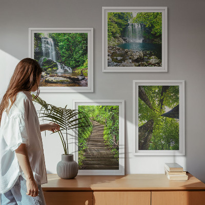 Galleria a parete Sentiero forestale cascata vegetazione