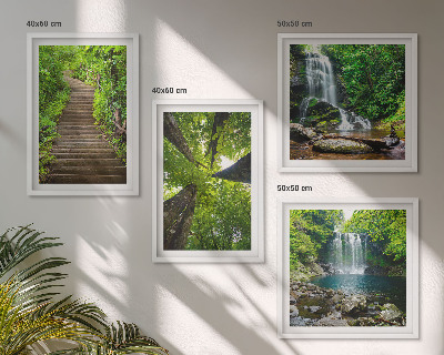 Galleria a parete Sentiero forestale cascata vegetazione