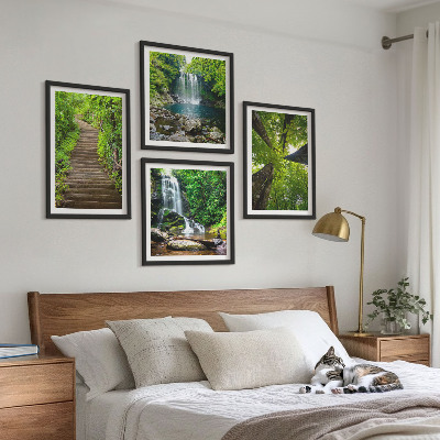 Galleria a parete Sentiero forestale cascata vegetazione