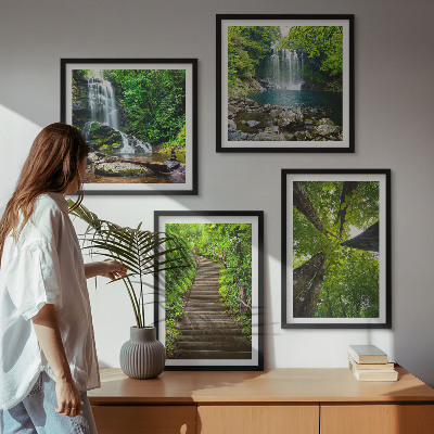 Galleria a parete Sentiero forestale cascata vegetazione