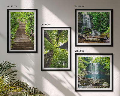 Galleria a parete Sentiero forestale cascata vegetazione