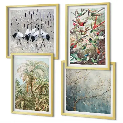 Composizione di 4 quadri con piante tropicali e uccelli in natura