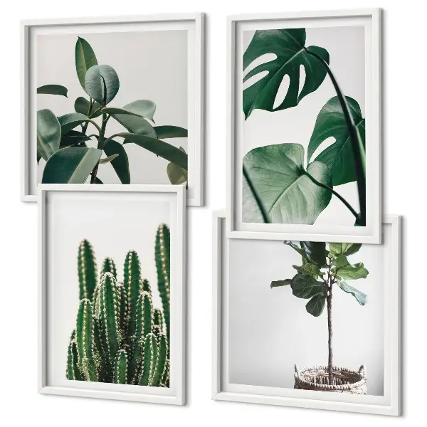 Estetica delle piante tropicali composizione di 4 quadri