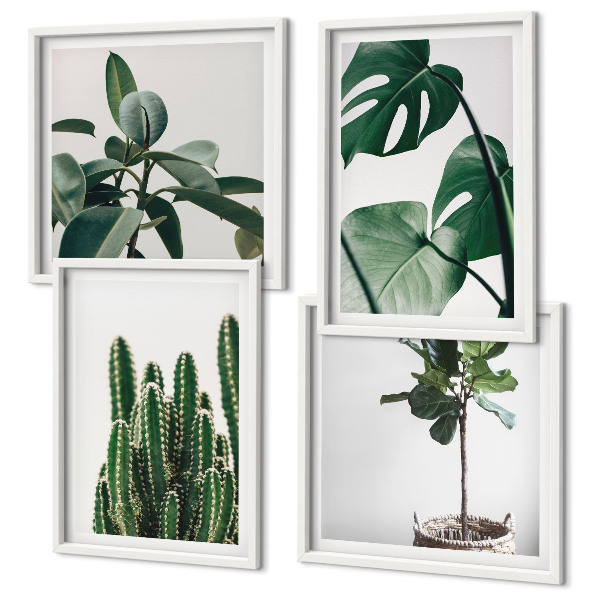 Composizione di 4 quadri Estetica delle piante tropicali