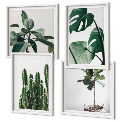 Composizione di 4 quadri Estetica delle piante tropicali