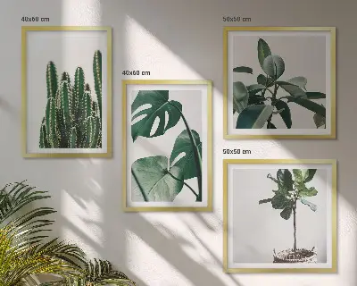 Estetica delle piante tropicali composizione di 4 quadri