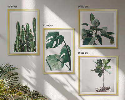 Composizione di 4 quadri Estetica delle piante tropicali