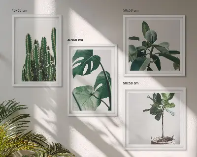 Estetica delle piante tropicali composizione di 4 quadri