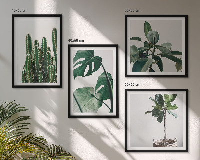 Composizione di 4 quadri Estetica delle piante tropicali