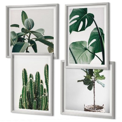 Composizione di 4 quadri Estetica delle piante tropicali