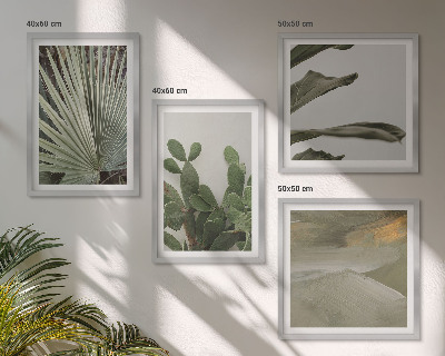 Composizione di 4 quadri Foglie di piante tropicali color pastello