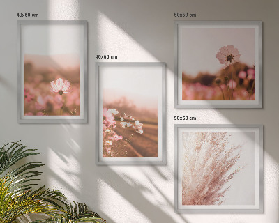 Composizione di 4 quadri Fiori selvatici nei prati d'estate